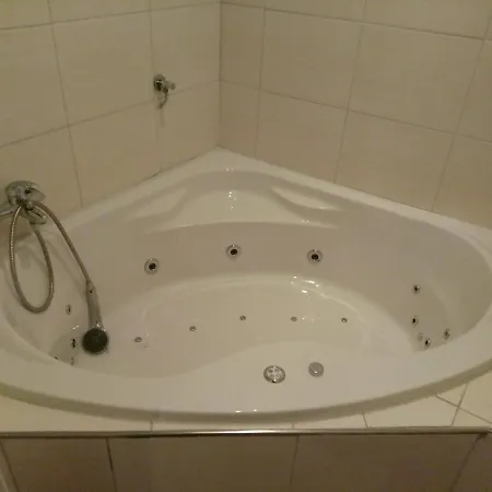 Grosse Private Wellness In Naehe Zum Rhein * コブレンツ