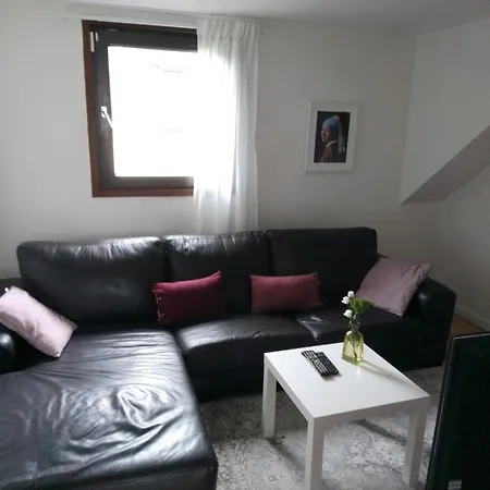 Große Private Wellness In Nähe Zum Rhein Apartment *